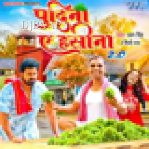 Pudina Ae Hasina 2 album art