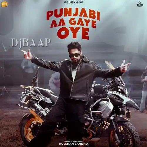 Punjabi Aa Gaye Oye