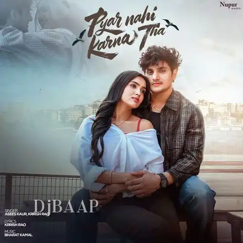 Pyar Nahi Karna Tha