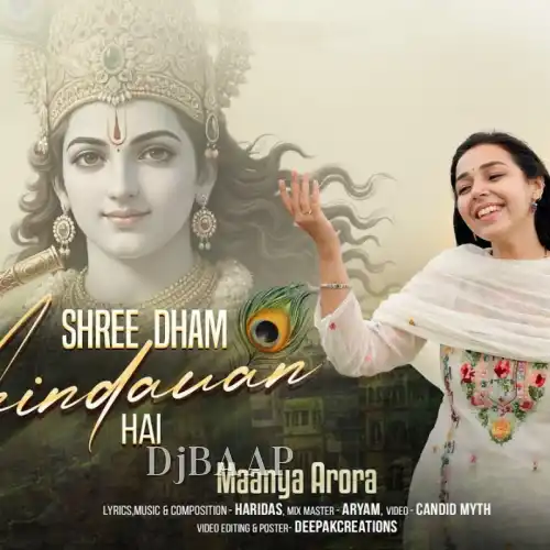 Shree Dham Vrindavan Hai album art