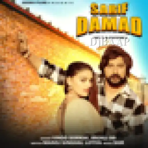 Sarif Damad