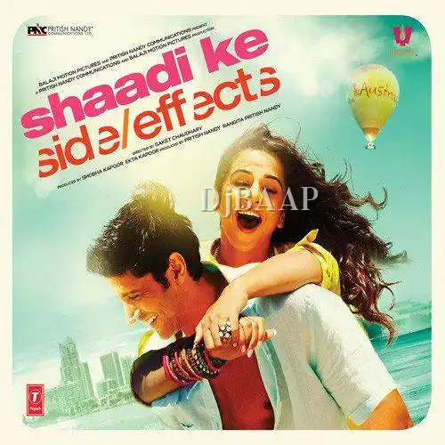 Harry Is Not Bhramchari album art