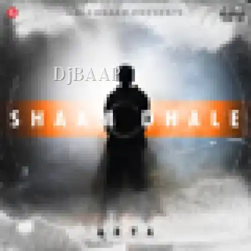 Shaam Dhale