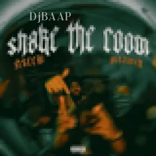 Shake The Room