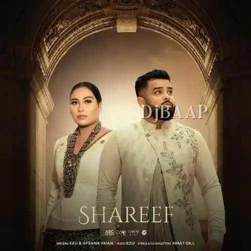 Shareef album art