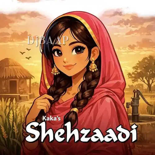 Shehzaadi album art