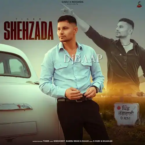 Pardesan Bhaina album art
