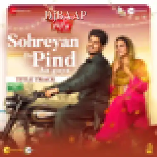 Sohreyan Da Pind Aa Gaya album art