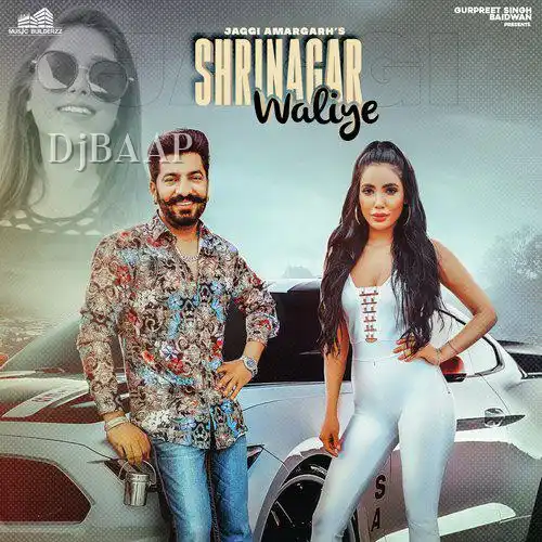 Srinagar Waliye album art