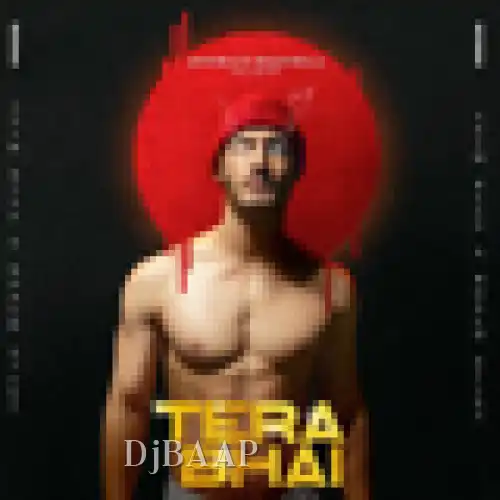 Tera Bhai