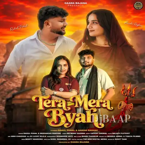 Tera Mera Byah album art