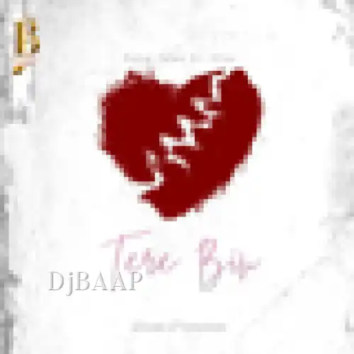 Tere Bin album art
