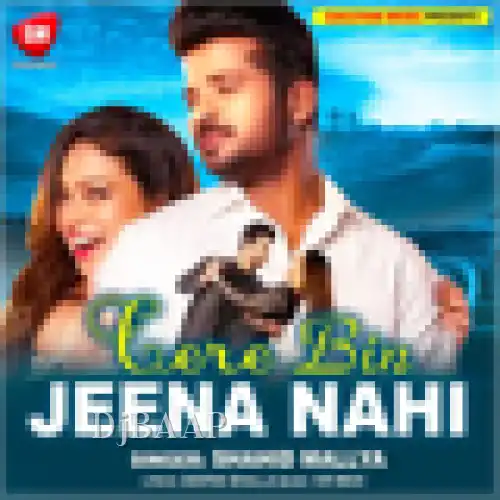 Tere Bin Jeena Nahi Hindi