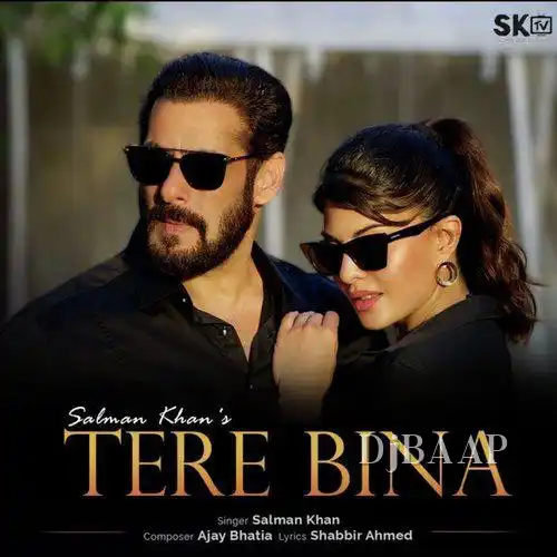 Tere Bina album art
