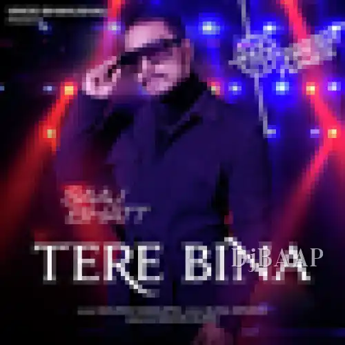 Tere Bina
