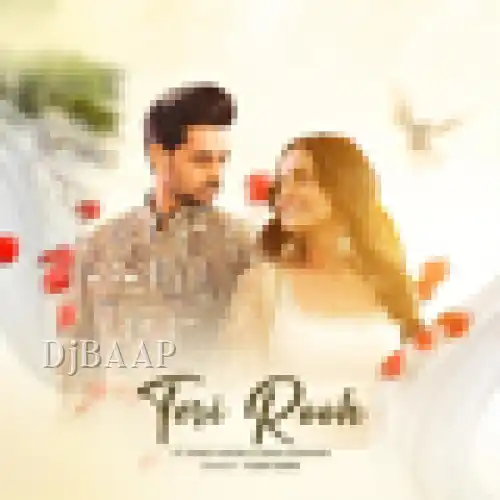 Teri Rooh