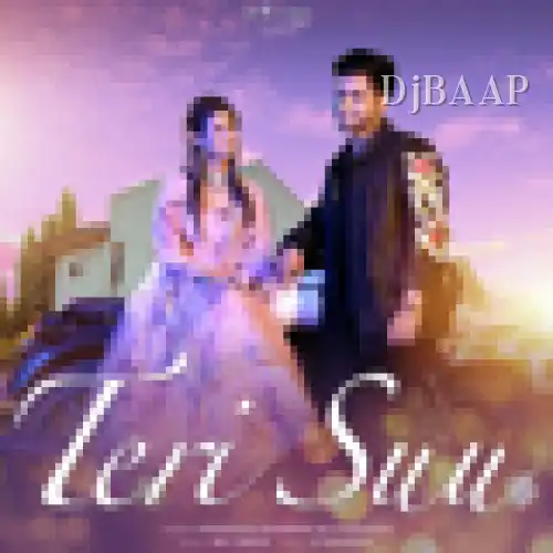 Teri Suu album art