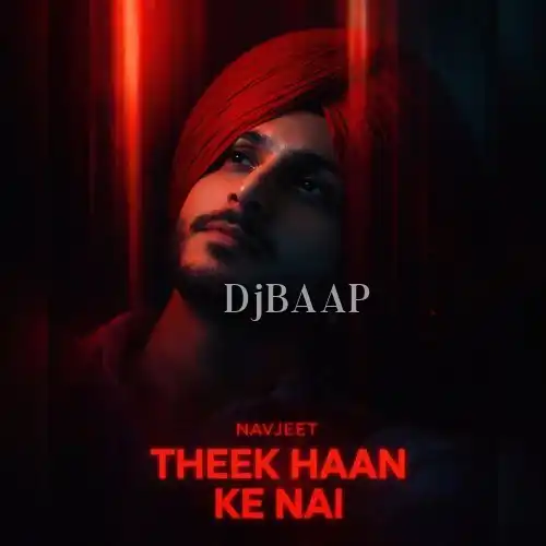 Theek Haan Ke Nai album art