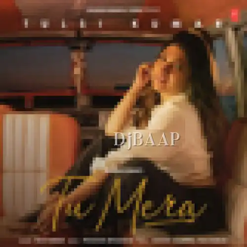 Tu Mera album art