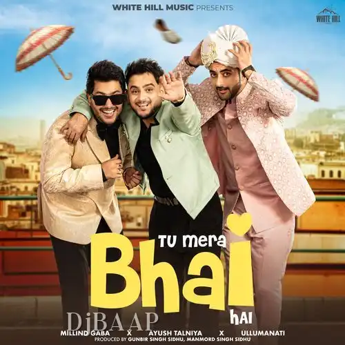 Tu Mera Bhai Hai