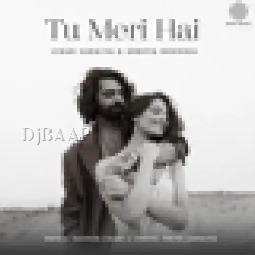 Tu Meri Hai album art