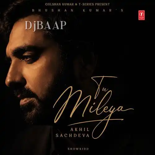 Tu Mileya album art