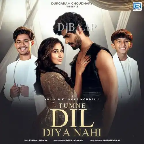 Tumne Dil Diya Nahi album art