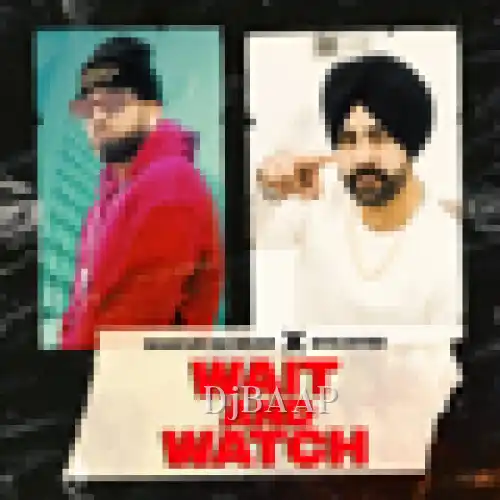 Wait And Watch album art