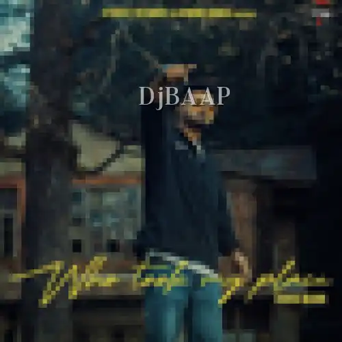 Who Took My Place album art
