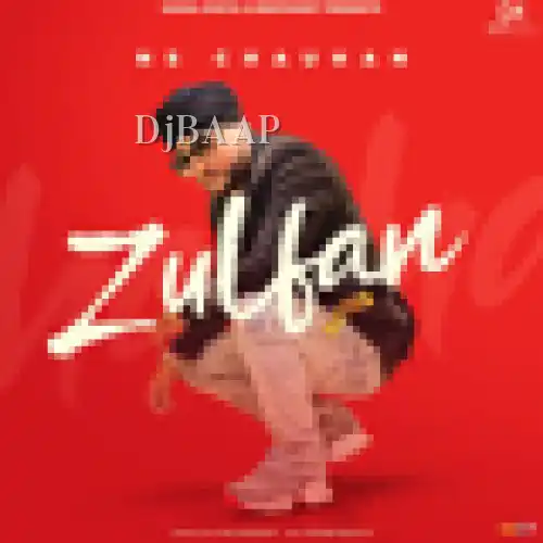 Zulfan album art
